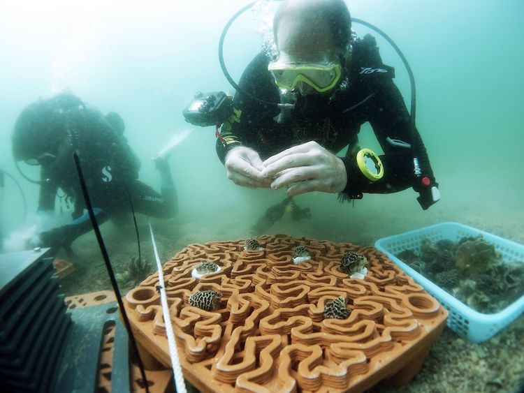 HKU Scientist with Terra Cotta Tile