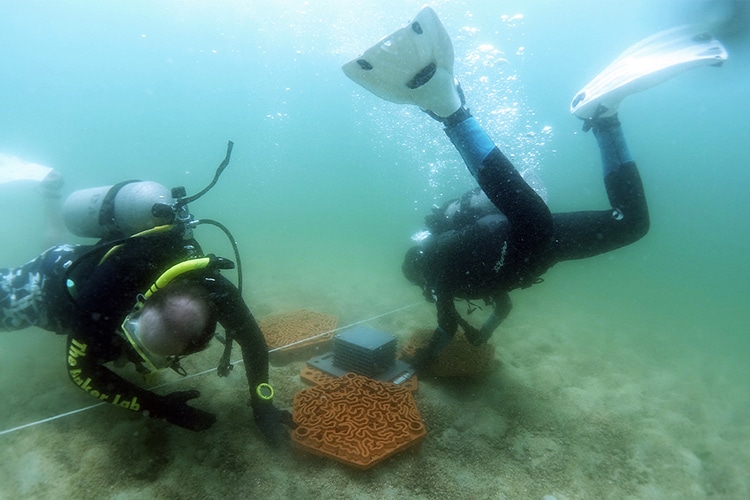 Divers Placing A Terra-Cotta Roof Tile