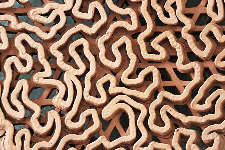 Terr-Cotta Reef Tile Close-Up