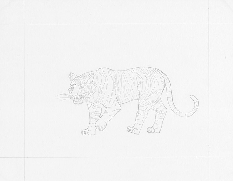 como dibujar un tigre 