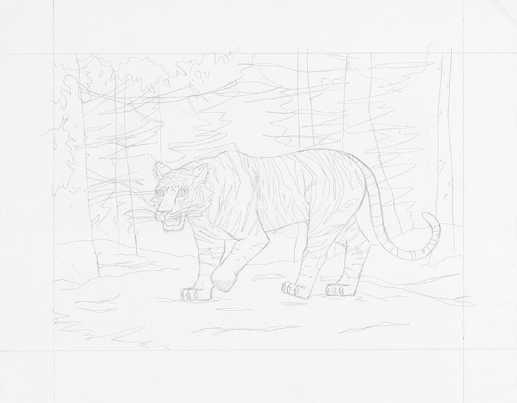 como dibujar un tigre 