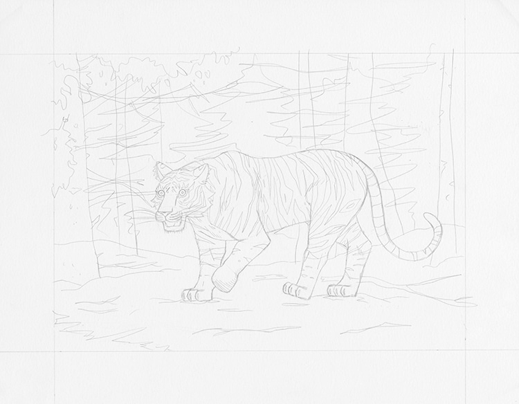 How to Draw a Tiger Drawing Tutorial 