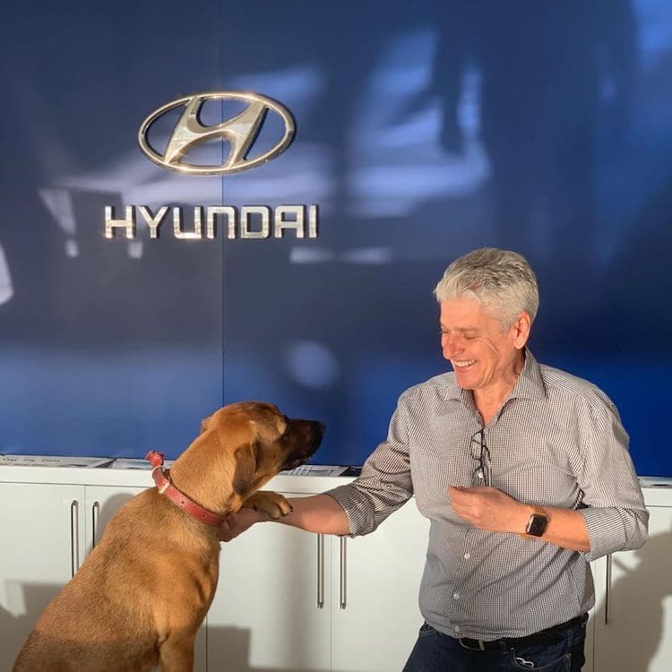 Stray Dog Gets a Job at Hyundai Dealership