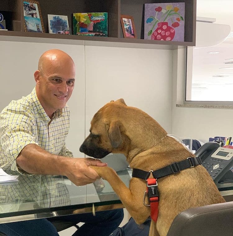 Stray Dog Gets a Job at Hyundai Dealership