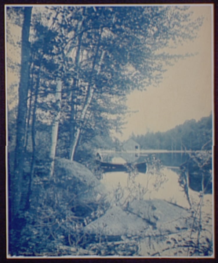 Adirondack Cyanotype
