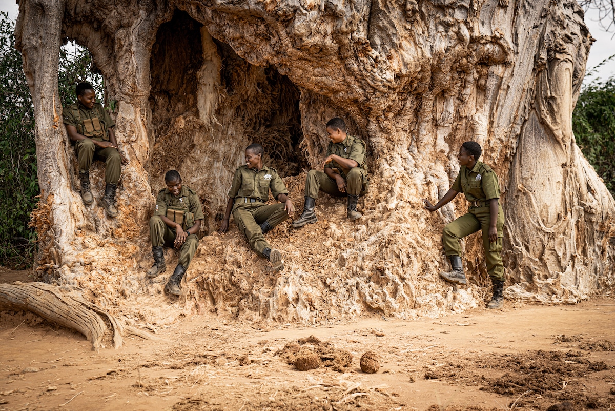 Akashinga Rangers in Zimbabwe Sitting on a Tree