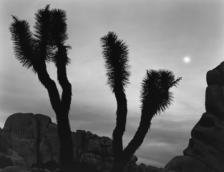 Ansel Adams