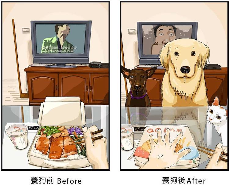 antes y después de tener una mascota