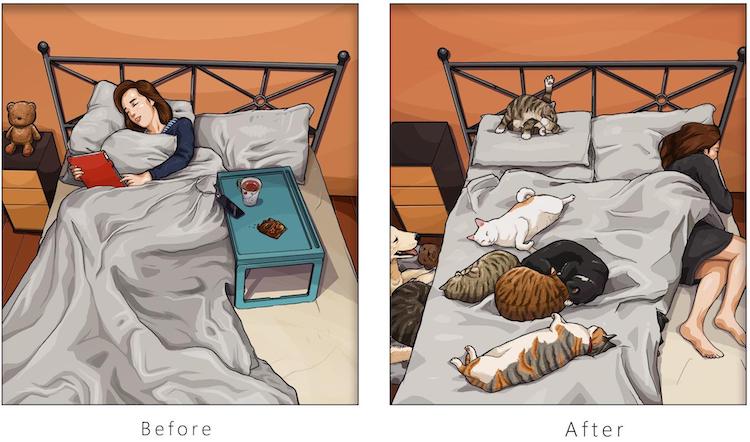 Antes y después de tener mascotas