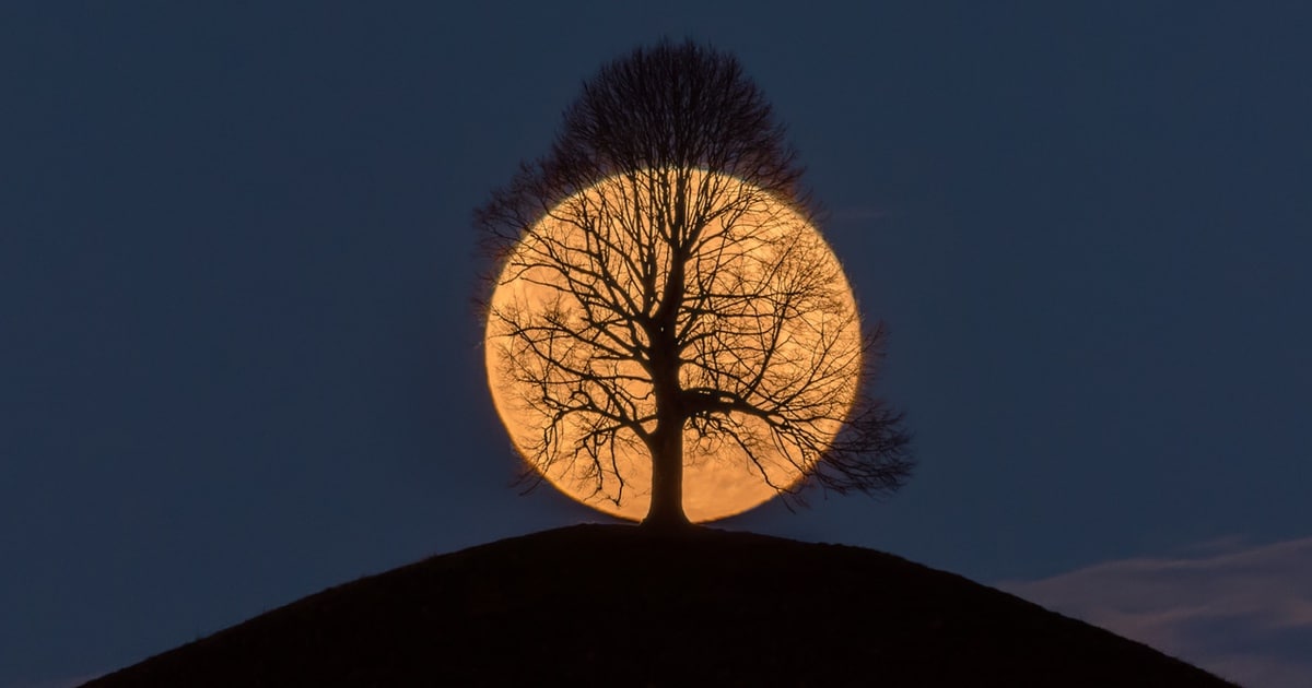 Photographer Shares the Story Behind His Viral Moon Photo
