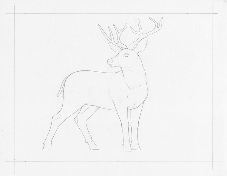 Cute Deer Drawing by Catherine Wallace | Saatchi Art