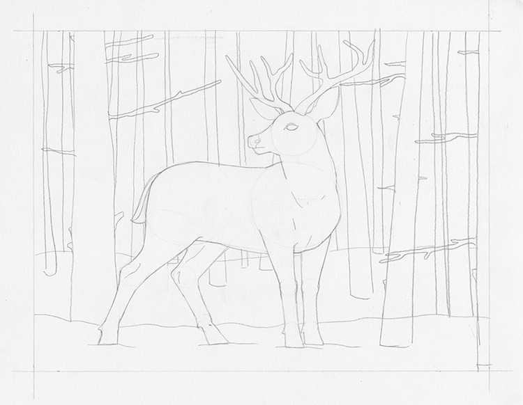 How to Draw a Deer Tutorial