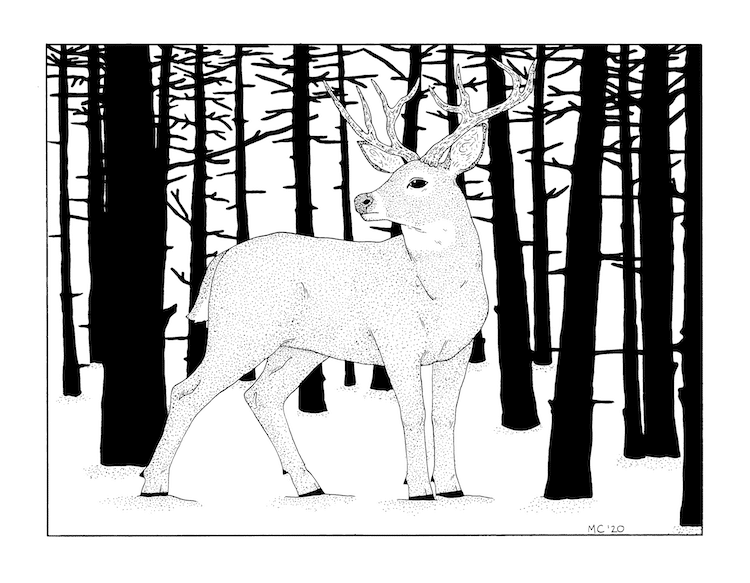 Tutorial para hacer un dibujo de un ciervo