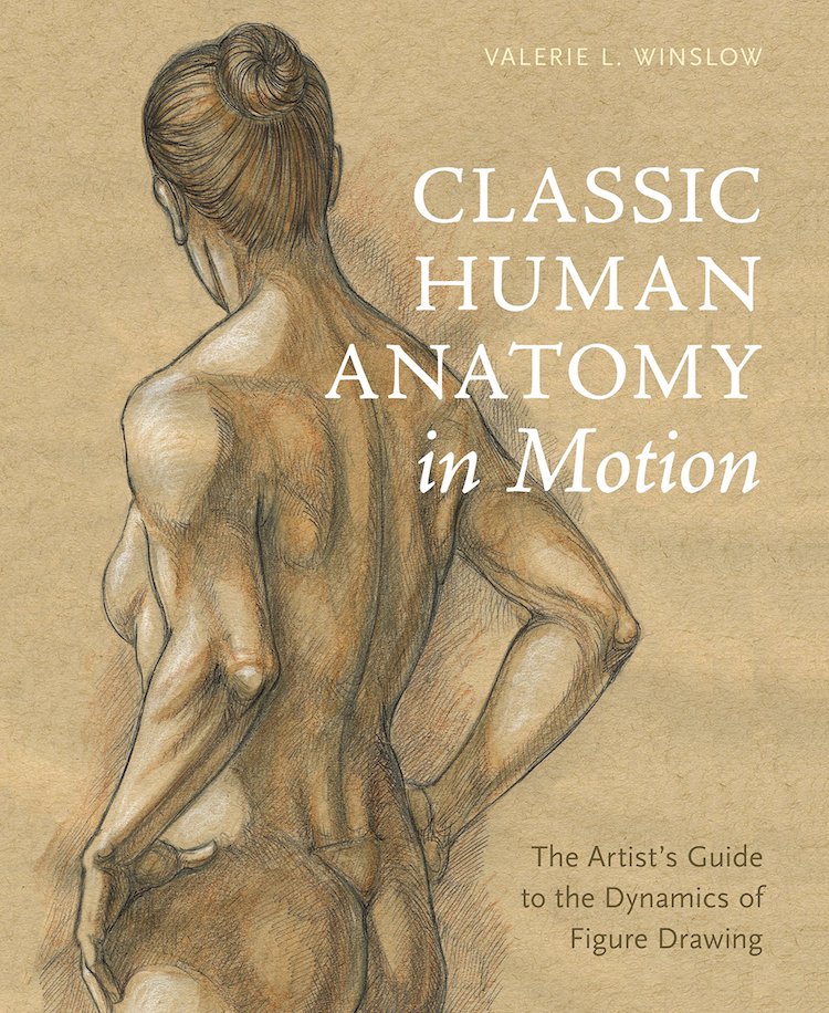 5 Drawing Books That Will Help You Render The Human Figure