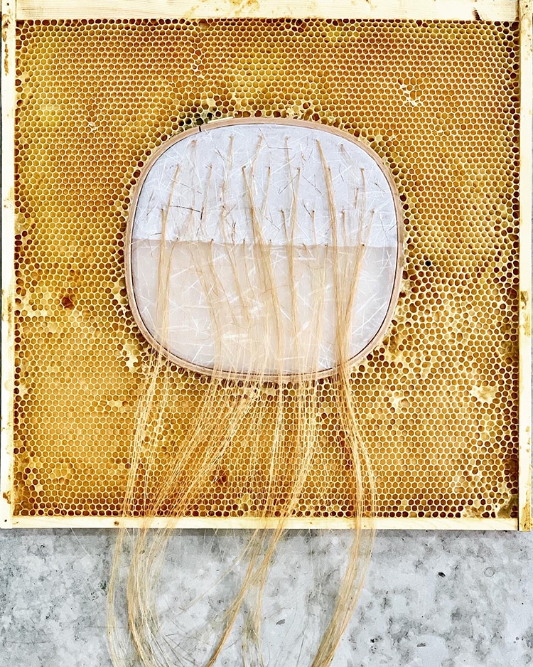 Falling Horsehair, Gold #2 Ava Roth