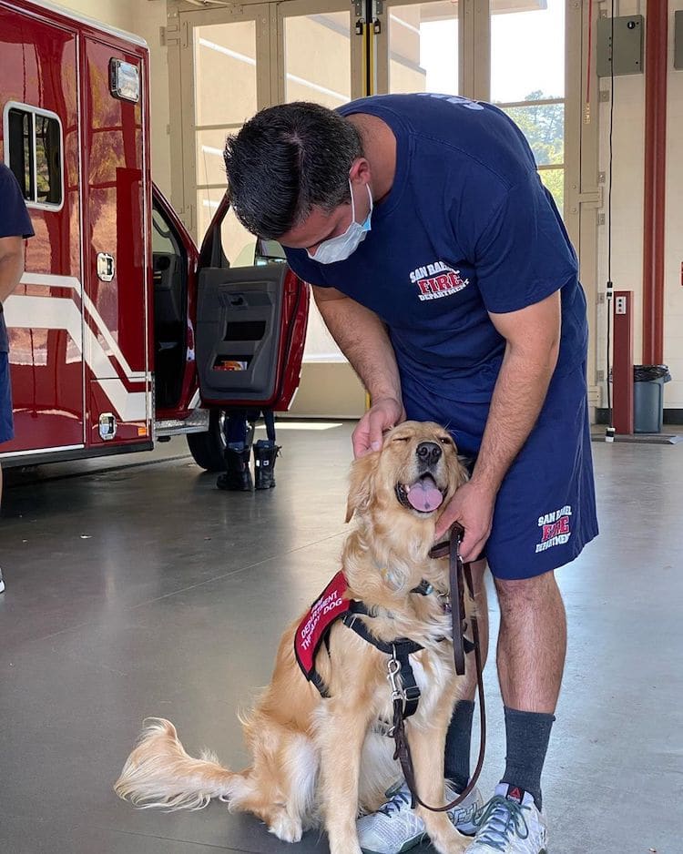 Kerith el perro de terapia de los bomberos de California