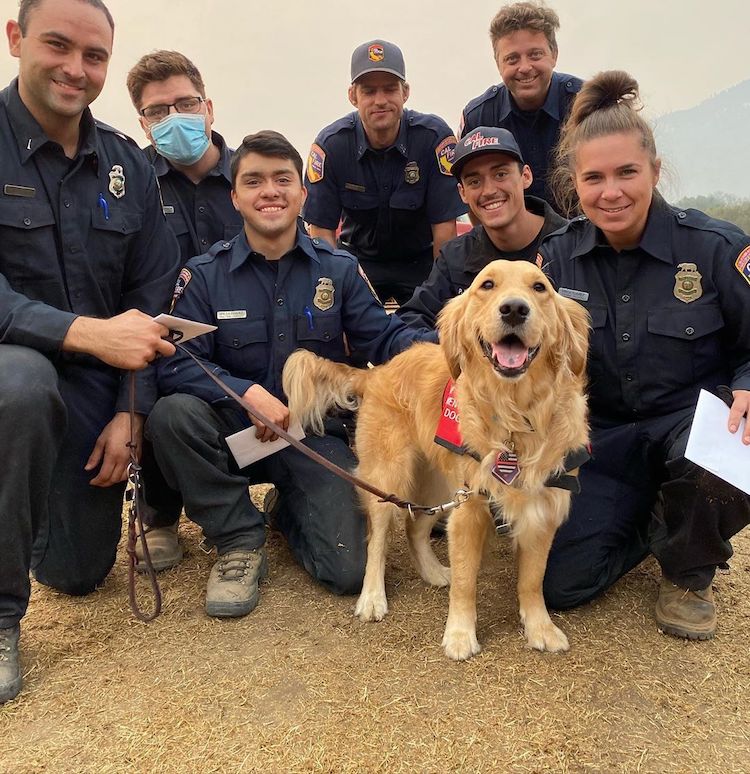 Therapy Dog Comforts Firefighters in California