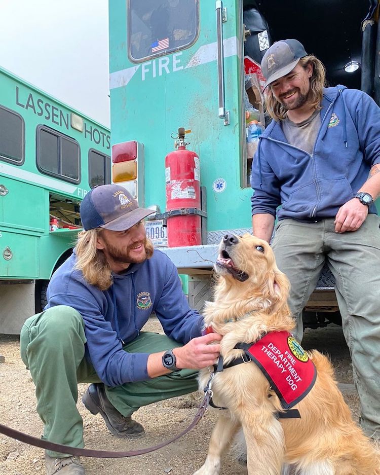 Therapy Dog Comforts Firefighters in California