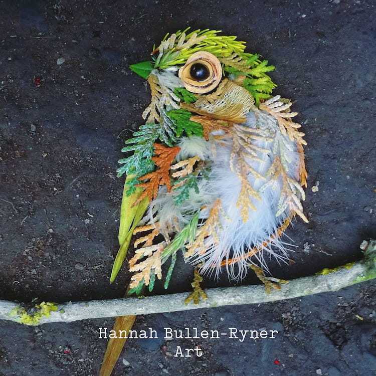 retratos efímeros de con hojas y ramas por Hannah Bullen-Ryner