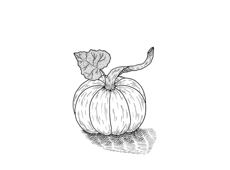 Entra en espíritu otoñal y aprende a hacer un dibujo de una calabaza