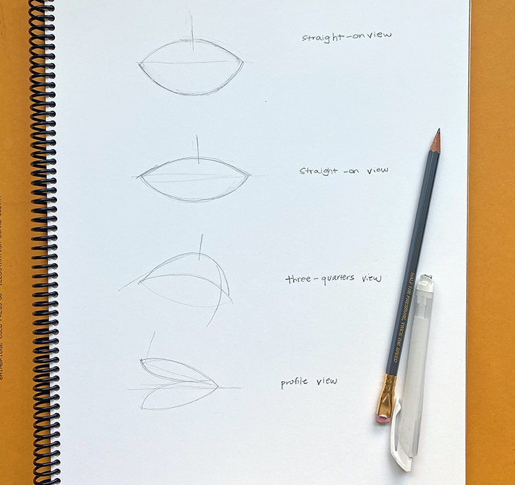 how to draw mouth step by step with pencil