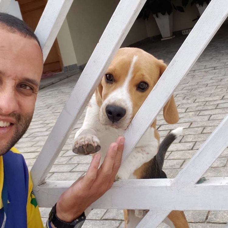 Mailman Befriends Animals Carteiro Amigo dos Animais