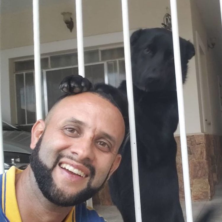 Mailman Befriends Animals Carteiro Amigo dos Animais