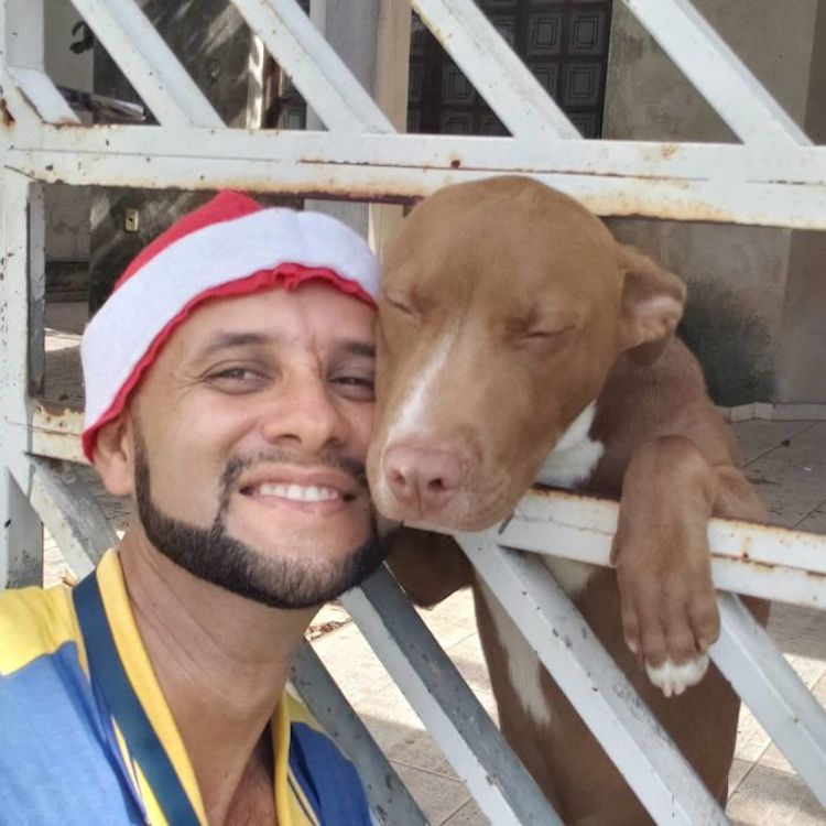 Mailman Befriends Animals Carteiro Amigo dos Animais