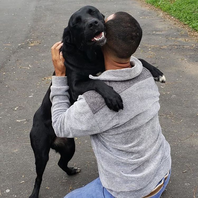 Mailman Befriends Animals Carteiro Amigo dos Animais