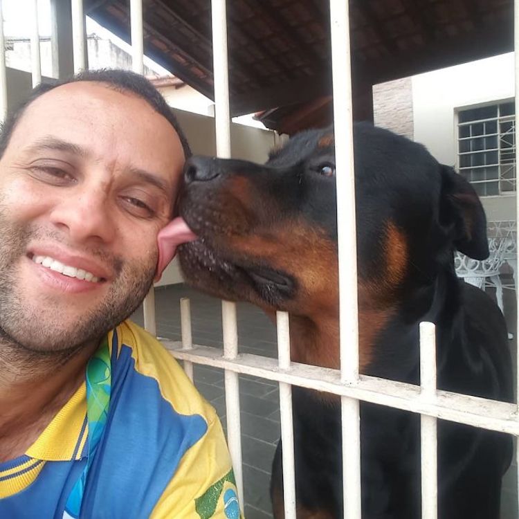 Mailman Befriends Animals Carteiro Amigo dos Animais