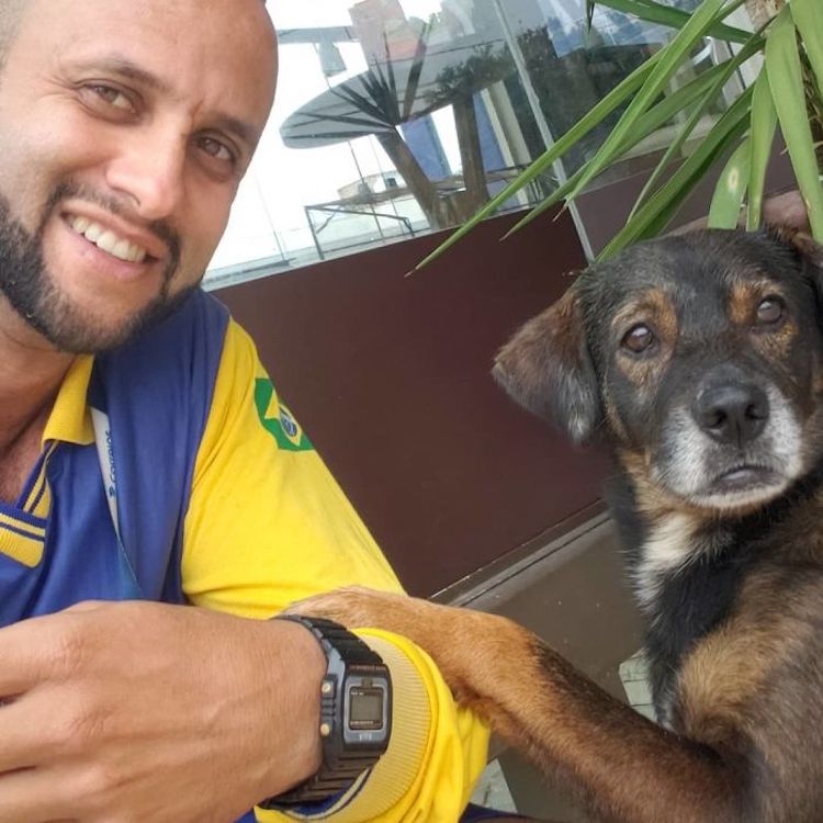 Mailman Befriends Animals Carteiro Amigo dos Animais