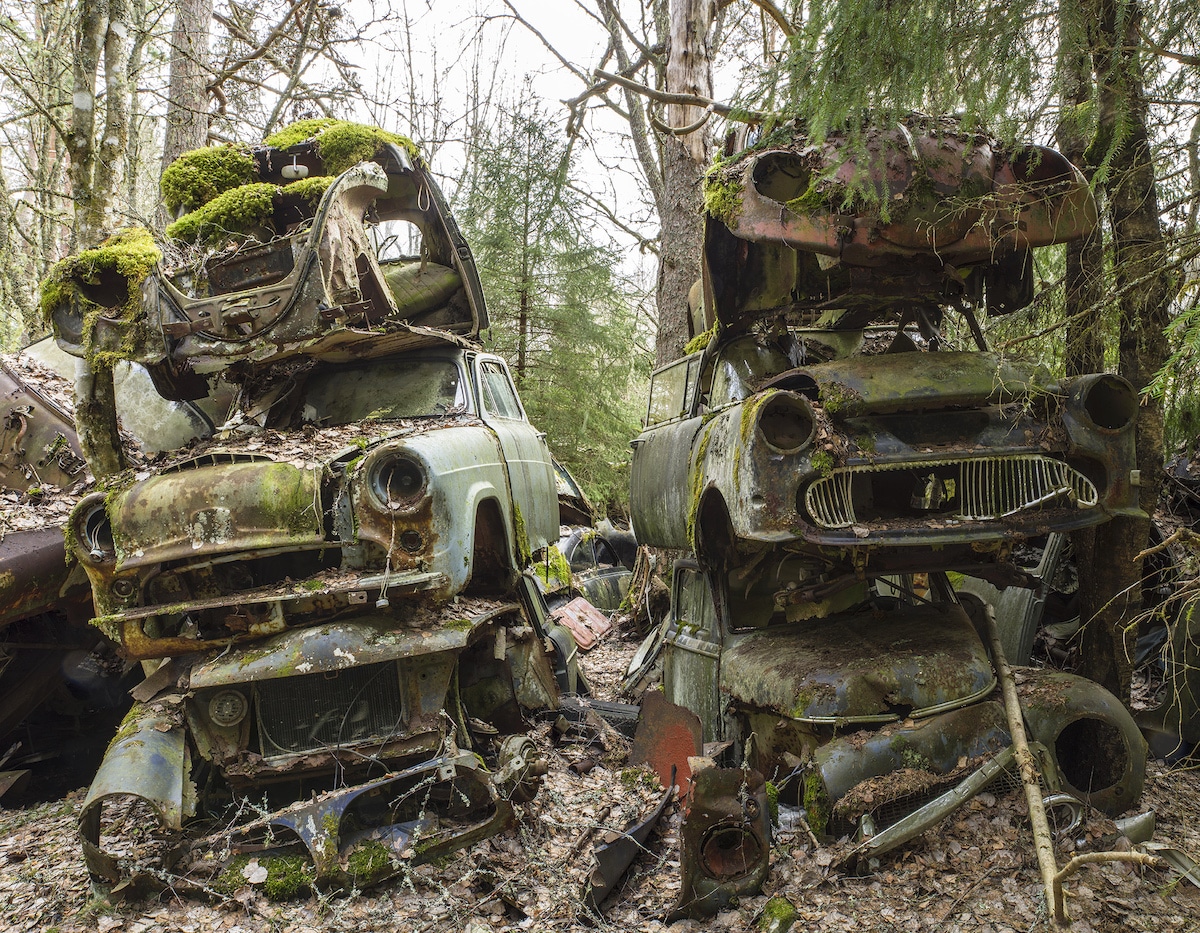 Stacks of Abandoned Cars with Moss Growing on Them