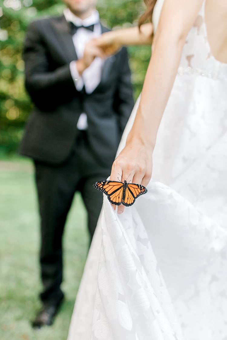 Monarch Butterfly Wedding Photoshoot by Laurenda Marie