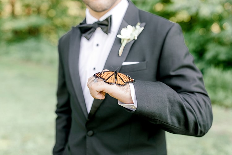 Monarch Butterfly Wedding Photoshoot by Laurenda Marie