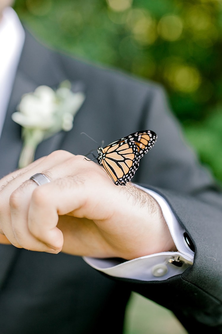 Monarch Butterfly Wedding Photoshoot by Laurenda Marie