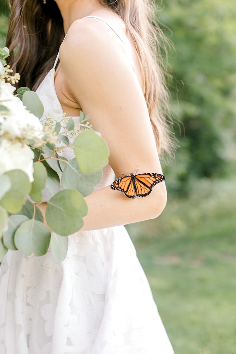 Monarch Butterfly Wedding Photoshoot by Laurenda Marie