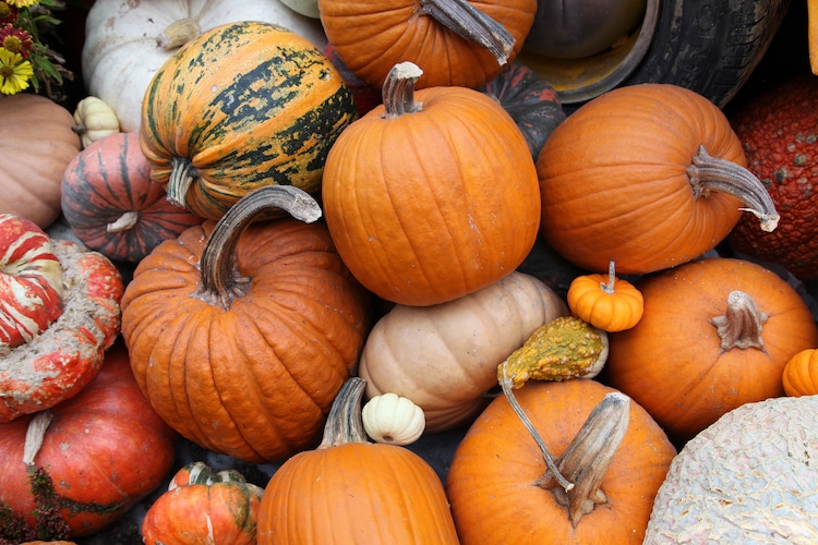 How to Draw a Pumpkin