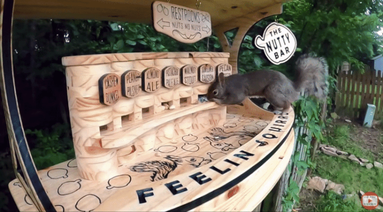 Squirrel Bar by Duke Harmon Woodworking