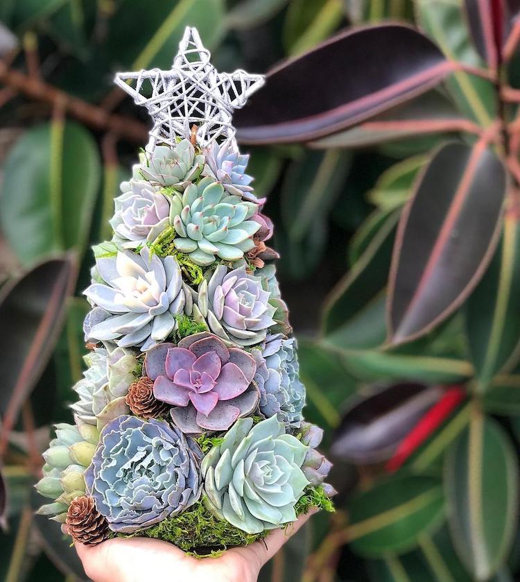 Succulent Christmas Trees Are a Festive Alternative to Conifers