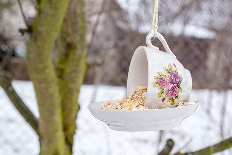 Teacup Bird Feeder DIY Craft