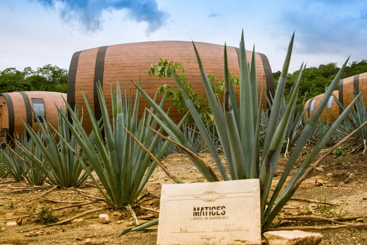 Matices Hotel de Barricas passare la notte in un barile gigante tra i campi di agave blu nella città di Tequila