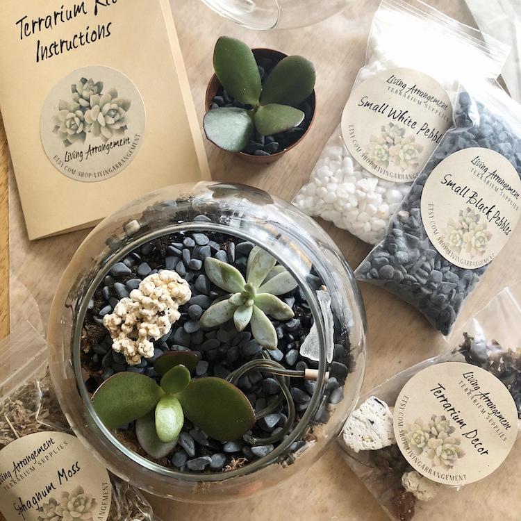 Details about   Terrarium Kit-Everything You Will Need Except For The Plant And Periodic Water 