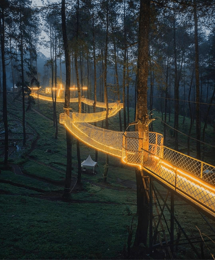 puente iluminado en bosque de orquideas en Indonesia