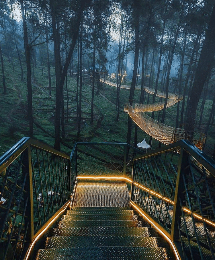 puente iluminado en bosque de orquideas en Indonesia