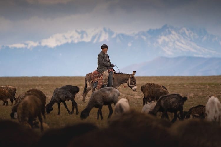 Man on a Horse in Kyrgyzstan