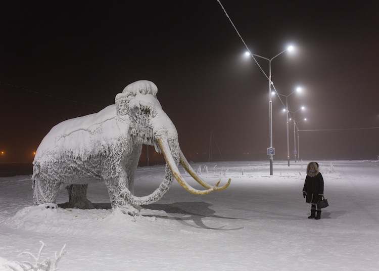 Woman Standing Next to a Stuffed Mammoth in Russia