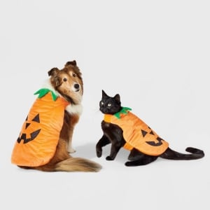25 Adorable Pet Halloween Costumes for Your Cats and Dogs