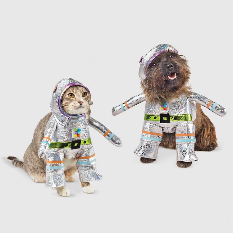 Dog and Cat Robot Costume