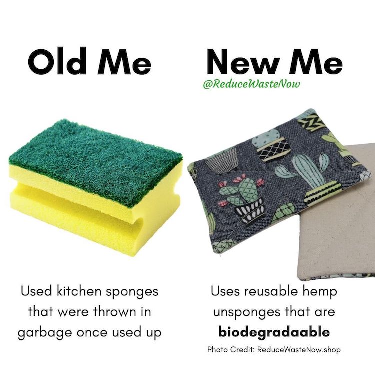 Replacing Sponges With Biodegradable Options