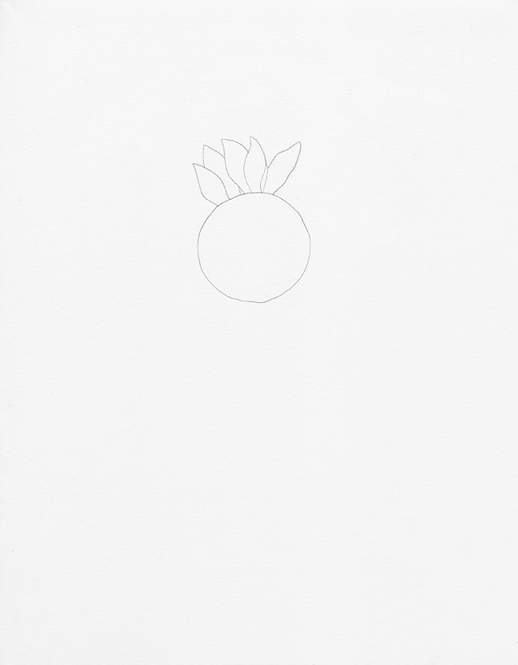 como dibujar un girasol